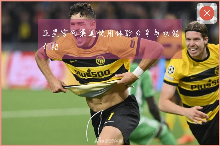 亚星官网渠道使用体验分享与功能介绍