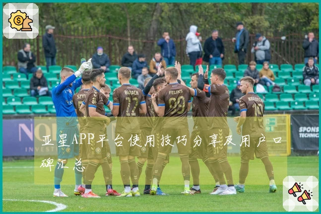 亚星APP平台使用技巧分享及用户口碑汇总